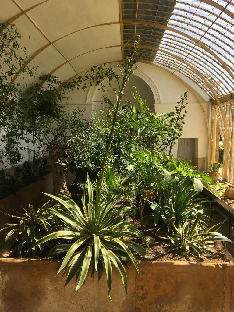 Partie intégrante des Jardins à la Française, la serre abrite aujourd'hui la collection de plantes de Jean-Louis Rémilleux.